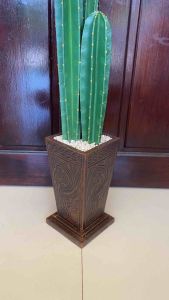 Kaktus Koboy Desain Unik: Mengenal Kaktus Koboy Artifisial Tinggi 85cm Fullset