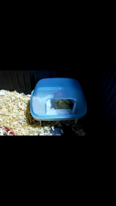 TEMPAT MAINAN PASIR HAMSTER MANDI SAUNA