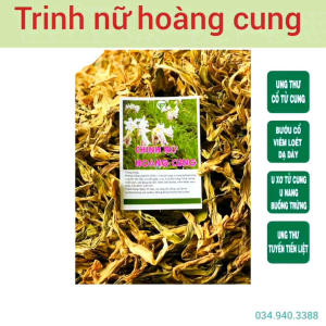 500g Trinh Nữ Hoàng Cung Thảo Dược Quý Hỗ Trợ các Chứng Đau Khớp Chấn Thương Tụ Máu