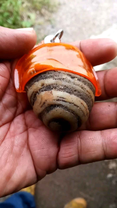 หินแปลกๆ ของทนสิทธ์รูปทรงสวยงามเกิดเองตามธรรมชาติ..ส่งตรงปก หมดแล้วหมดเลยครับ