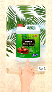 Nước Rửa Tay Premium Hand Soap Mr Fresh Hàn Quốc 5L (Thơm-Sạch-Tiết Kiệm)