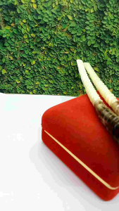cangklong once tulang kerbau kombinasi tulang bule motif ulir