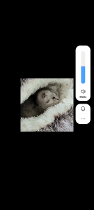 Tempat Tidur Kucing Hangat dan Lembut Berbentuk Tudung Ukuran 45cmx45cm