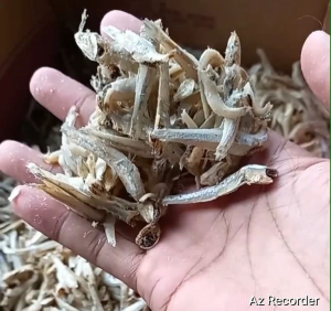 SUPER MURAH Ikan Asin Teri JENGKI BULAT 1000 gram/COD Di Tempat