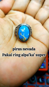 pirus NEVADA / cincin batu akik nevada dim 17-20 great A cincin pria