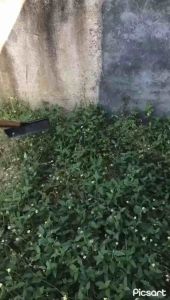 Cangkul Gulma - Alat Pembersih Gulma/Rumput Liar