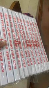 Combo 10 bẫy dính chuột hộp Đại Viêt - diệt chuột tận gốc - bẫy siêu dính chuột diệt chuột cả đàn keo siêu dính chuột diệt được cả chuột to