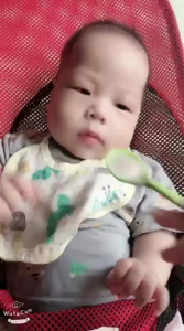 Bột ăn dặm cho bé (Loại có sẵn rau củ)