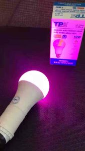Đèn leb bulb thông minh điều khiển bằng wifi