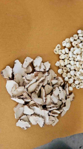 咳嗽宝 虎乳川贝丸 100粒 虎乳川贝粉 50g Tiger Milk Mushroom Chuang Bei Capsules 100 Pill/Powed 50g - Lazada