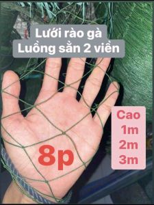Combo Dài 10m Lưới rào gà quay gà có luồng sẳn viền Khổ rộng cao 4m3m2m1m Mắt lưới 8p (4 x4cm)