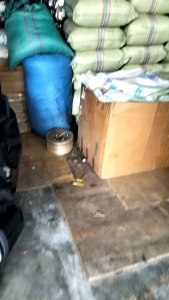 Filter Mild Premium: Solusi Kesehatan dan Kualitas Udara Terbaik