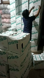 Helm Cargloss Dewasa Original SNI Premium