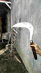 arit rumput super tajam cap pcl bintang