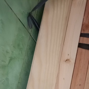 Balok Jati Belanda Halus 3x5x110: Panduan Lengkap