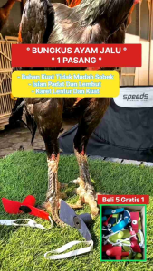 GROSIR 10 PASANG BUNGKUS JALU TAJI AYAM JAGO | PELINDUNG TAJI JALU AYAM BANGKOK