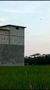 suara inap ratu inap.suara inap terbaik