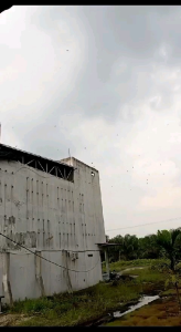 Suara Panggil King Birahi Orizional.sp King Birahi