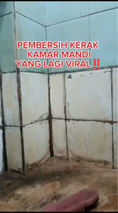 sonic toilet cleaner pembersih kerak kamar mandi dan toilet