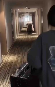 Seluar Dalam Pakai Buang Wanita/ Disposable Panties/ Pure Cotton/ Disposable Underwear/ Pregnant Panties/ Disposable Underwear Women/ Disposable Panties Plus Size/Postpartum 一次性内裤