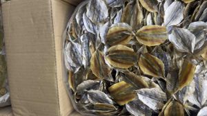 ปลากิมสั่วไม่งาปลากิมสั่วปลาหวานปลาขนาด500กรัม