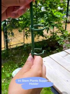 Stem Plants Support Holder Plant Support Sticks With Rings For Outdoor And Indoor Plants Garden Support Plant