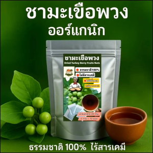 ชามะเขือพวงผสม ขิง ตะไคร้ กระชายขาว บรรจุ 12 ซอง มีกลิ่นหอมทานง่ายออร์แกนิคธรรมชาติ 100% ไม่มีน้ำตาล