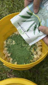 Greenbait Fishing Powder Strawberry  Pandan  Banana 150g