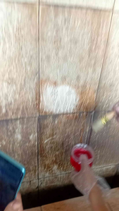 FASTCLEAN toilet cleaner cairan pembersih toiletwastafelkerak kamar mandinoda membandeldan jamur kemasan 1liter