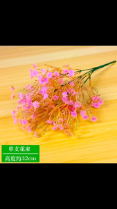 Baby Breath / Gypsophila / Rumput Bintang Mini x7 Cabang