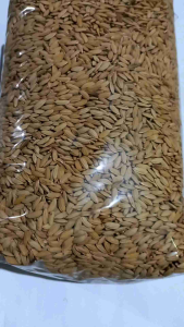 Benih padi gogo huma 1000 gram untuk ladang darat cocok untuk taman dan kebun.