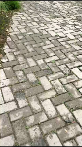 Akd Kaos Atasan Dtf Mld Mantan Gratis Pelanggan 250k Calon Suami 50Juta Pas Dibuka Longgar Kaos Pria & Wanita Kaos Murah Kaos Distro Bandung Kaos Katun Distro Hitam Putih