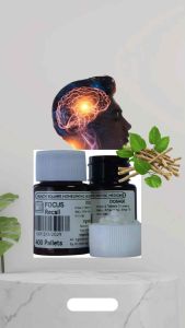 Focus Boster memory Boster Gingko biloba neuro brain brain mind