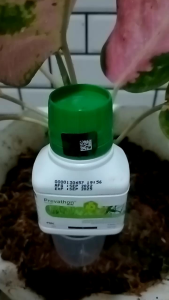 Prevathon 50sc 100ml insektisida 100% Original Berhologram [FMC] pembasmi hama (sundepulat grayakulat penggerek batang ulat putih palsu)/prepaton
