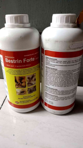Bestrin Forte 100 EC insektisida Fogging nyamuk DBD dan Hama Gudang super ampuh 1 liter