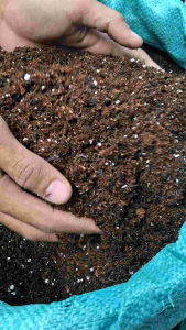 Coco Mix 2 Liter: Media Propagasi Akar Siap Pakai
