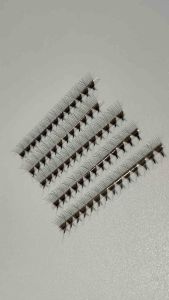 10D FAN VOLUME 1000pcs KL