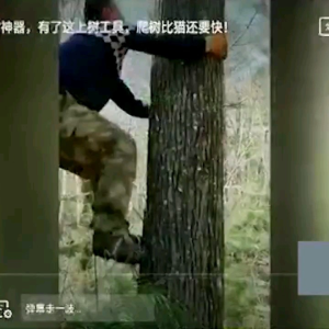 ALAT PANJAT POHON MEMBANTU PEKERJAAN TEBANG POHON