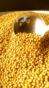 ถั่วเหลือง เม็ด 500 กรัม เผาะถ้่วงอก ทำน้ำเต้าหู้ (ส่งฟรีกดรับโค้ดด้านล่าง) ลูกค้าสามารถเก็บคูปองส่งฟรี คูปองส่วนลดสินค้า ตรงใต้ภาพสินค้า และไม่ต้องกดติดตาม