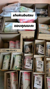 1 ฟรี 500 ml ครีมอาบน้ำ โชกูบูสซึ 500 มล [SHOKUBUTSU] มี5สูตรให้เลือก