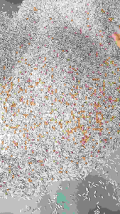 ข้าวกล้อง3กษัตริย์ คัดพิเศษ ขนาด 500 กรัม แพ็คสูญญากาศ ข้าวกล้อง3กษัตริย์ พรีเมี่ยม อินทรีย์ แบรนด์ขวัญยโสธร มาตรฐานสากล (Canada Organic Regime – COR) มีมาตรฐาน อย.