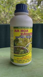 Phân bón NPK Ra hoa Dap - Kích phát tố Ra hoa đậu trái ( chai 500ml ) ra hoa đồng loạt chống ngẹt bông chống rụng trái  sương muối