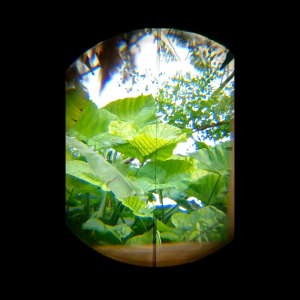 mounting camera telescope terasa seperti go-pro moncam telescope moncam untuk hp