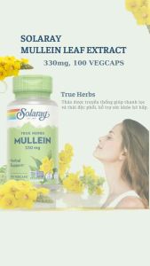 Solaray Mullein Leaf Extract 330mg 100 Viên | Hỗ trợ sức khỏe hô hấp thanh lọc & thải độc phổi - phế quản cho người hút thuốc