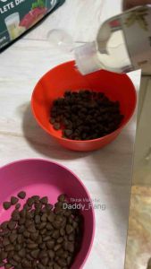 Virgin Coconut Oil for Cats & Dogs - Skin Care - First Aid - Pet Healthcare - Pet Supplies