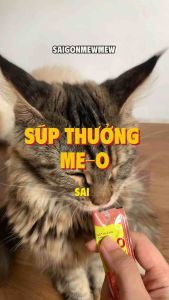 Súp Thưởng Me-O Cho Mèo Cao Cấp Hộp 36 Thanh – Snack Dinh Dưỡng Mèo Mê Ăn