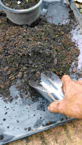 พลั่วตักดินใส่ต้นไม้ ตักดิน ตักปุ๋ยใส่ต้นไม้