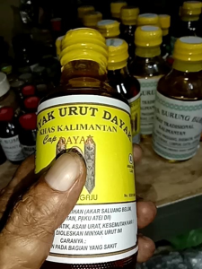 Minyak Urut Khas Dayak Kalimantan: Manfaat & Cara Penggunaan