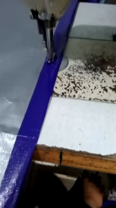 Terpal Plasti Tenda 4x10 & 4x20: Pilihan Terbaik untuk Acara Outdoor