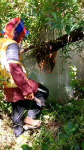 100% PURE RAW WILD HONEY freshly harvested from the wild mountains of Quezon Province by Sha-shas Pure Honey